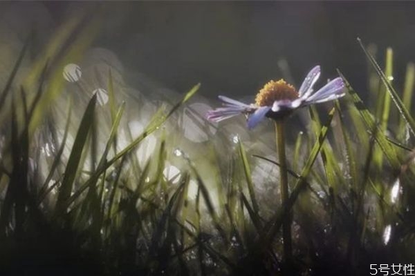 軍婚兩地分居的婚姻能維持多久 兩地分居老公出軌怎么辦 軍婚兩地分居的婚姻能維持多久 兩地分居老公出軌怎么辦