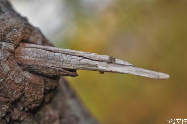 離家出走的女人還能要嗎 女人為什么要離家出走 離家出走的女人還能要嗎 女人為什么要離家出走