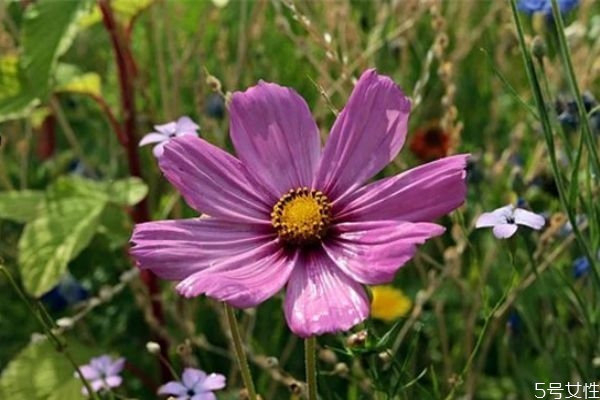 軍婚兩地分居的婚姻能維持多久 兩地分居老公出軌怎么辦 軍婚兩地分居的婚姻能維持多久 兩地分居老公出軌怎么辦