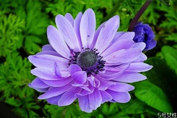 精神出軌可以被原諒嗎 精神和肉體出軌哪個(gè)不能原諒