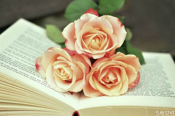 不懂得拒絕不喜歡的人怎么辦 如何拒絕自己不喜歡的人 不懂得拒絕不喜歡的人怎么辦 如何拒絕自己不喜歡的人