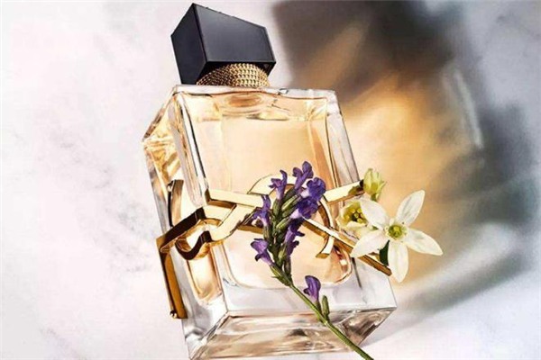 ysl圣羅蘭哪款香水最受歡迎 ysl哪款香水銷量最好 ysl圣羅蘭哪款香水最受歡迎 ysl哪款香水銷量最好