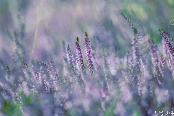 男生想追你之前試探你的表現(xiàn) 男人喜歡你的微信暗示 男生想追你之前試探你的表現(xiàn) 男人喜歡你的微信暗示