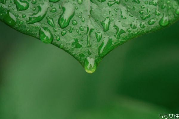 再婚有沒有婚假 再婚家庭可以生孩子嗎 再婚有沒有婚假 再婚家庭可以生孩子嗎