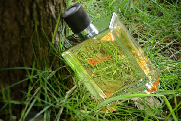 愛(ài)馬仕大地是什么味道 愛(ài)馬仕大地三個(gè)版本區(qū)別 愛(ài)馬仕大地是什么味道 愛(ài)馬仕大地三個(gè)版本區(qū)別