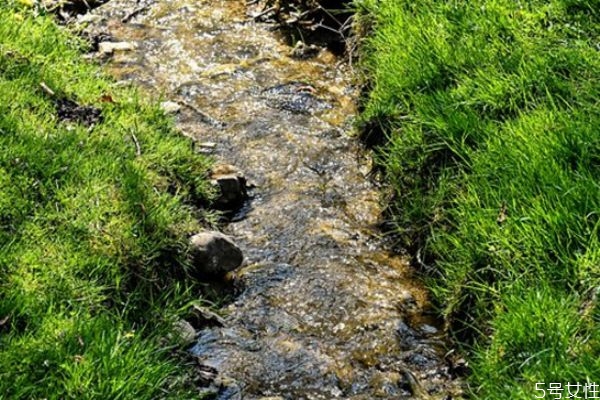 戀愛分手幾天后適合挽回 戀愛分手挽回技巧 戀愛分手幾天后適合挽回 戀愛分手挽回技巧