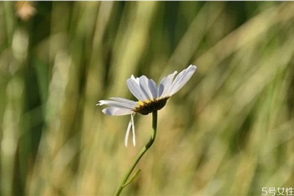 男朋友不愛你的細(xì)節(jié)表現(xiàn) 這些信號告訴你男友不愛你 男朋友不愛你的細(xì)節(jié)表現(xiàn) 這些信號告訴你男友不愛你