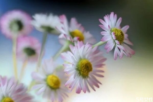 價(jià)值觀不同的夫妻如何相處 夫妻三觀不合如何挽回 價(jià)值觀不同的夫妻如何相處 夫妻三觀不合如何挽回