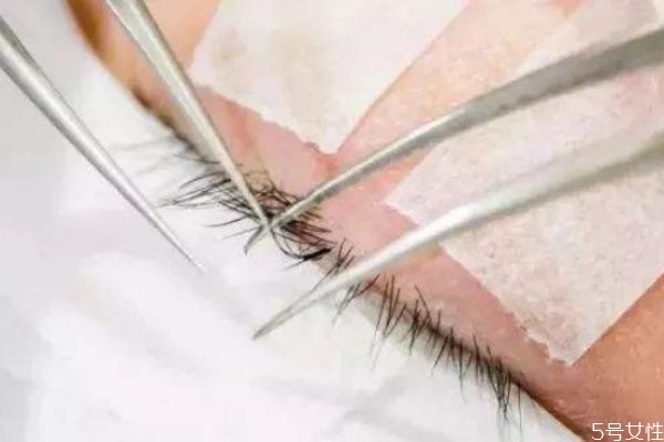 嫁接睫毛單根好還是開花好 嫁接睫毛多長10還是8 嫁接睫毛單根好還是開花好 嫁接睫毛多長10還是8