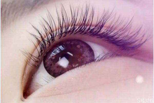 睫毛嫁接選什么毛最好 嫁接睫毛哪個(gè)粗度最好 睫毛嫁接選什么毛最好 嫁接睫毛哪個(gè)粗度最好