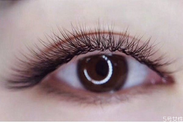 嫁接睫毛是越濃密越好嗎 嫁接美睫會痛嗎 嫁接睫毛是越濃密越好嗎 嫁接美睫會痛嗎
