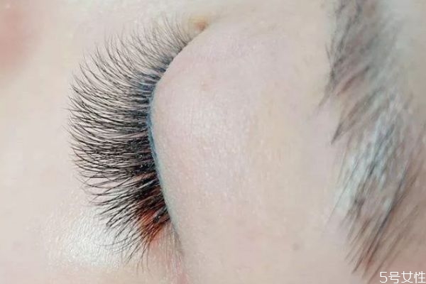 嫁接下睫毛一般用多少號 嫁接下睫毛用什么型號 嫁接下睫毛一般用多少號 嫁接下睫毛用什么型號