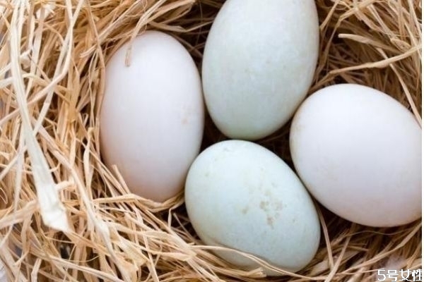 減肥期間可以吃鴨蛋嗎 怎么吃比較好 減肥期間可以吃鴨蛋嗎 怎么吃比較好