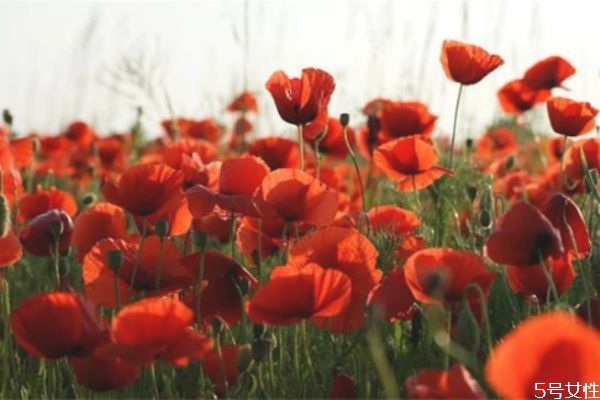 女人離婚后多久最難熬 女人離婚后最難熬的三個(gè)階段 女人離婚后多久最難熬 女人離婚后最難熬的三個(gè)階段