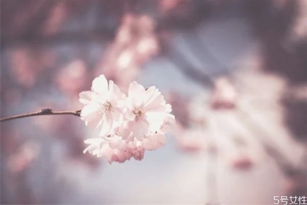 男人鐵心離婚心理分析表現(xiàn) 男人鐵心離婚挽回的技巧 男人鐵心離婚心理分析表現(xiàn) 男人鐵心離婚挽回的技巧