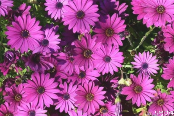 女人離婚后多久最難熬 女人離婚后最難熬的三個(gè)階段 女人離婚后多久最難熬 女人離婚后最難熬的三個(gè)階段