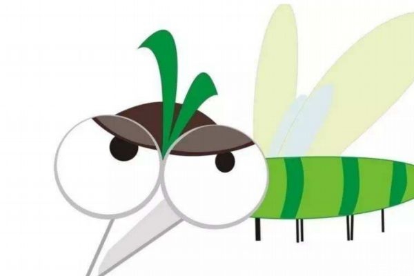 為什么老被蚊子咬 老讓蚊子咬咋樣解決 為什么老被蚊子咬 老讓蚊子咬咋樣解決