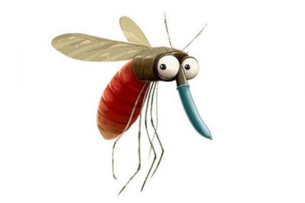 為什么老被蚊子咬 老讓蚊子咬咋樣解決 為什么老被蚊子咬 老讓蚊子咬咋樣解決