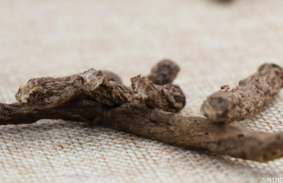 仙茅泡酒可以泡幾次 仙茅泡酒的功效 仙茅泡酒可以泡幾次 仙茅泡酒的功效