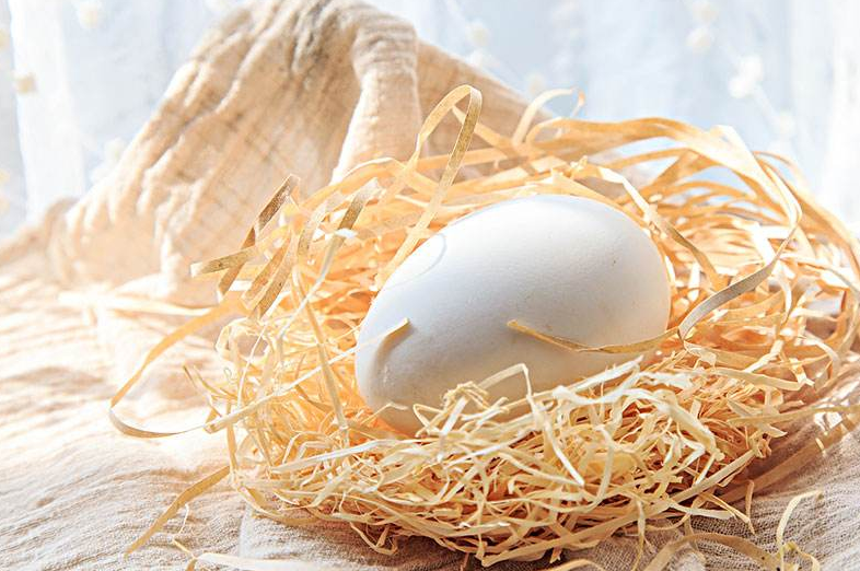 只吃鵝蛋清有營(yíng)養(yǎng)嗎 鵝蛋清好還是黃好