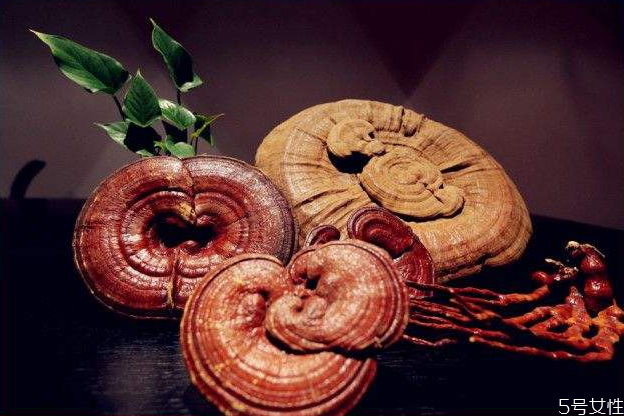 抗疲勞的食物有哪些 熬夜抗疲勞吃什么 抗疲勞的食物有哪些 熬夜抗疲勞吃什么