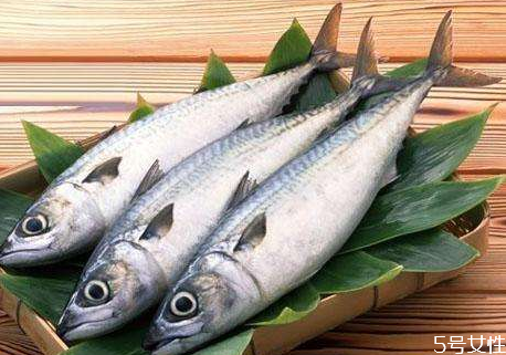 膽固醇高可以吃馬鮫魚(yú)嗎 馬鮫魚(yú)的食用禁忌 膽固醇高可以吃馬鮫魚(yú)嗎 馬鮫魚(yú)的食用禁忌