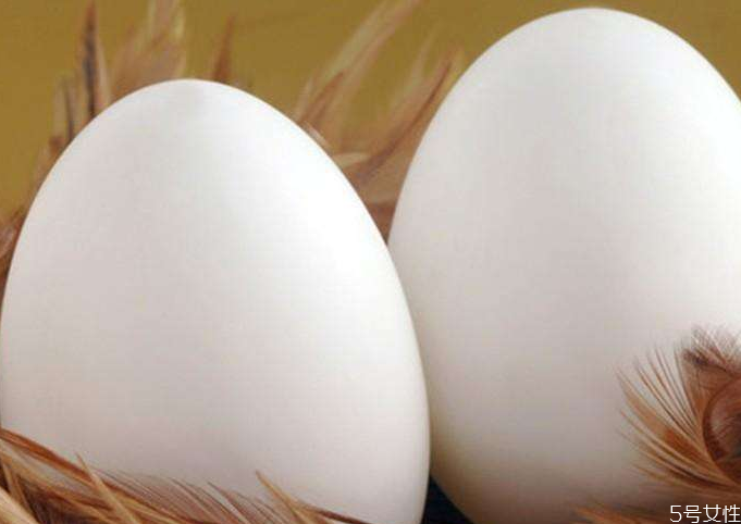 鵝蛋比雞蛋好在哪 鵝蛋比雞蛋有營(yíng)養(yǎng)嗎 鵝蛋比雞蛋好在哪 鵝蛋比雞蛋有營(yíng)養(yǎng)嗎