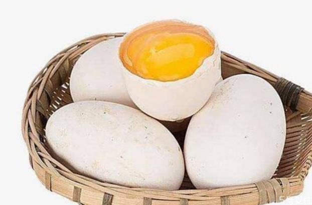 男孩發(fā)育吃鵝蛋好嗎 女人吃鵝蛋好還是雞蛋好 男孩發(fā)育吃鵝蛋好嗎 女人吃鵝蛋好還是雞蛋好