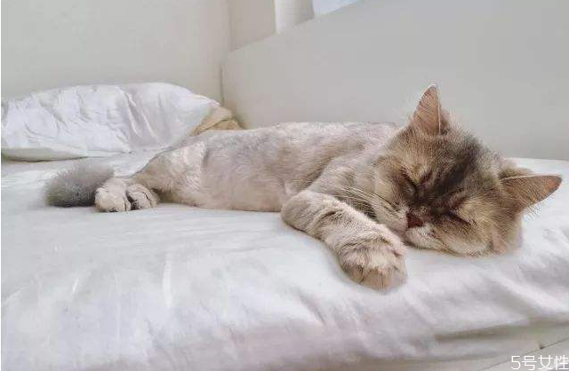 壓力大會(huì)導(dǎo)致夢(mèng)游嗎 夢(mèng)游要怎么預(yù)防 壓力大會(huì)導(dǎo)致夢(mèng)游嗎 夢(mèng)游要怎么預(yù)防