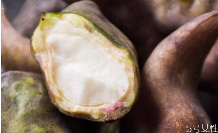 菱角紅色和綠色的區(qū)別 菱角沒煮熟吃了會中毒嗎 菱角紅色和綠色的區(qū)別 菱角沒煮熟吃了會中毒嗎