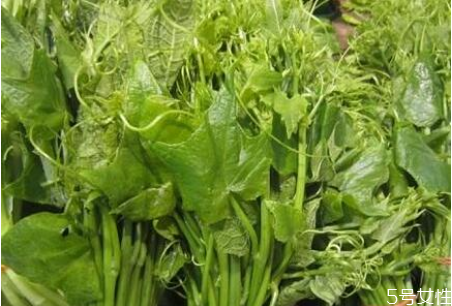 南瓜尖怎么去毛 南瓜尖的功效和作用 南瓜尖怎么去毛 南瓜尖的功效和作用