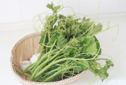 南瓜尖怎么去毛 南瓜尖的功效和作用 南瓜尖怎么去毛 南瓜尖的功效和作用