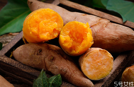 寶寶空腹吃紅薯好不好 寶寶每天吃紅薯的危害 寶寶空腹吃紅薯好不好 寶寶每天吃紅薯的危害
