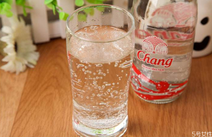 蘇打水和礦泉水有什么區(qū)別 女人喝蘇打水的好處 蘇打水和礦泉水有什么區(qū)別 女人喝蘇打水的好處