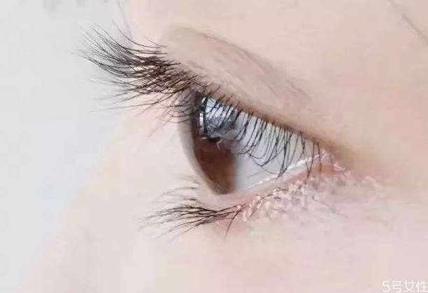 如何區(qū)分嫁接睫毛的卷翹程度 嫁接睫毛的種類 如何區(qū)分嫁接睫毛的卷翹程度 嫁接睫毛的種類