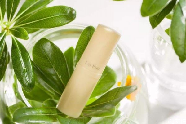 潤(rùn)唇膏可以代替唇膜嗎 潤(rùn)唇膏可以用什么代替 潤(rùn)唇膏可以代替唇膜嗎 潤(rùn)唇膏可以用什么代替