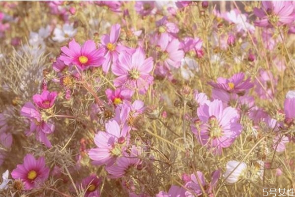 發(fā)現(xiàn)妻子出軌怎么辦 妻子出軌要離婚丈夫聰明做法 發(fā)現(xiàn)妻子出軌怎么辦 妻子出軌要離婚丈夫聰明做法