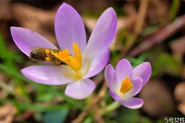 妻子出軌怎么讓丈夫徹底原諒 妻子出軌后應該怎么做 妻子出軌怎么讓丈夫徹底原諒 妻子出軌后應該怎么做