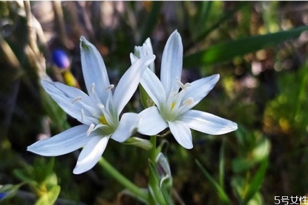 妻子出軌怎么讓丈夫徹底原諒 妻子出軌后應該怎么做 妻子出軌怎么讓丈夫徹底原諒 妻子出軌后應該怎么做