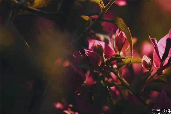 男人沖你發(fā)火代表什么 一個男人明確說不愛你 男人沖你發(fā)火代表什么 一個男人明確說不愛你