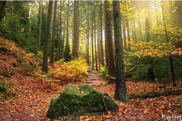 男人沖你發(fā)火代表什么 一個男人明確說不愛你 男人沖你發(fā)火代表什么 一個男人明確說不愛你