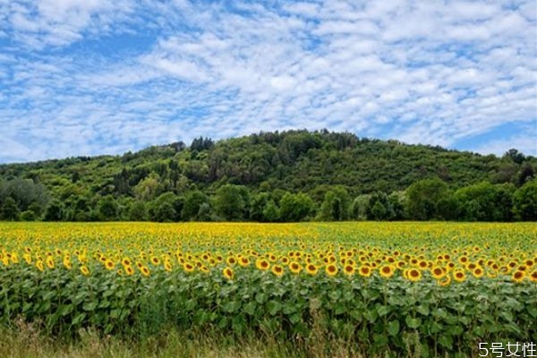 一個(gè)男人反感你的表現(xiàn) 一個(gè)男人吼你說(shuō)明什么 一個(gè)男人反感你的表現(xiàn) 一個(gè)男人吼你說(shuō)明什么