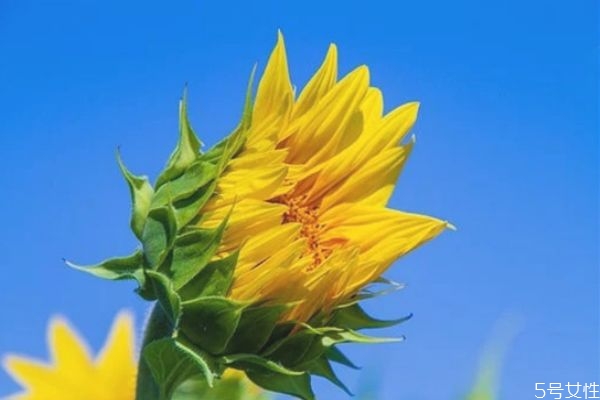 一個(gè)男人反感你的表現(xiàn) 一個(gè)男人吼你說(shuō)明什么 一個(gè)男人反感你的表現(xiàn) 一個(gè)男人吼你說(shuō)明什么