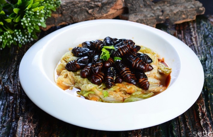 水煮蠶蛹煮多久 蠶蛹是冷水下鍋還是熱水下鍋 水煮蠶蛹煮多久 蠶蛹是冷水下鍋還是熱水下鍋