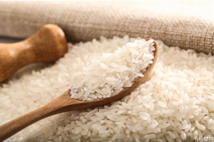 大米長的蟲子是什么蟲 米長蟲子怎么處理 大米長的蟲子是什么蟲 米長蟲子怎么處理