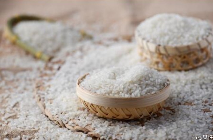 大米長的蟲子是什么蟲 米長蟲子怎么處理 大米長的蟲子是什么蟲 米長蟲子怎么處理