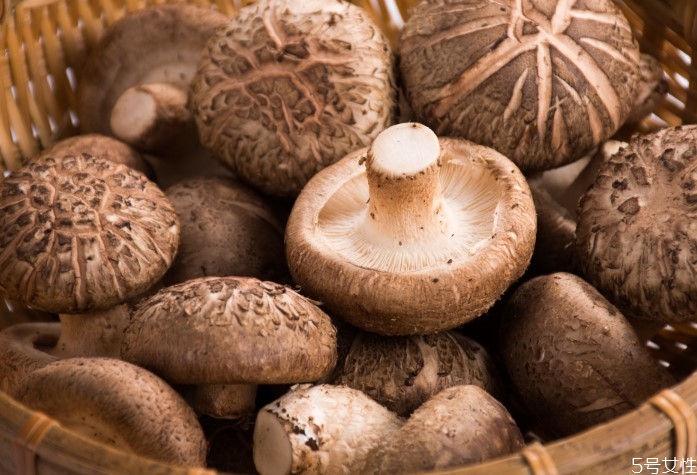 干花菇多少錢一斤 干花菇怎么泡發(fā) 干花菇多少錢一斤 干花菇怎么泡發(fā)