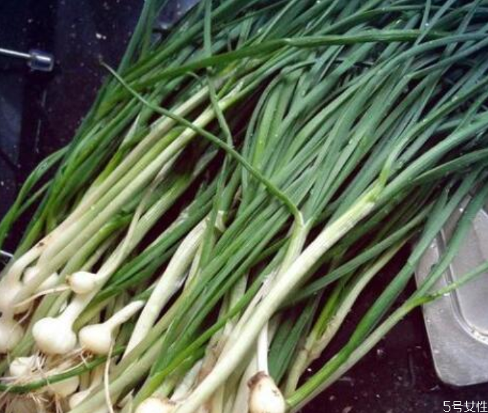 野蔥和野蒜的區(qū)別 野蔥哪些人不能吃 野蔥和野蒜的區(qū)別 野蔥哪些人不能吃