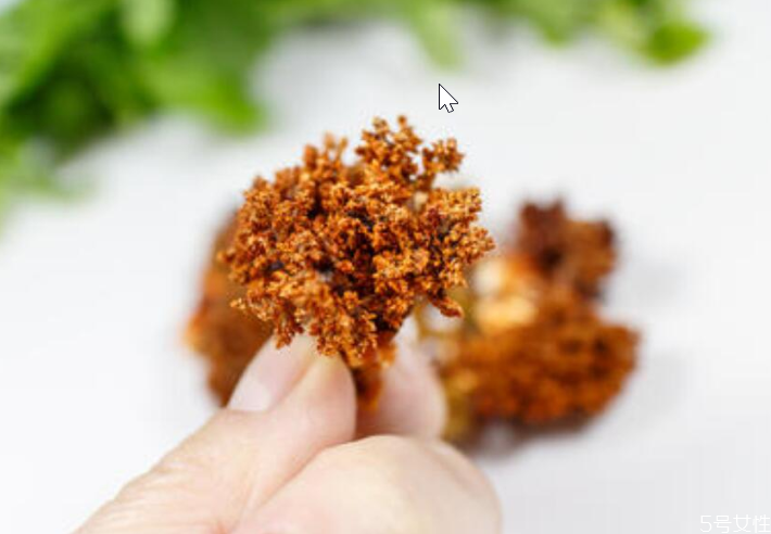 海參花多少錢一斤 海參花的營(yíng)養(yǎng)價(jià)值 海參花多少錢一斤 海參花的營(yíng)養(yǎng)價(jià)值