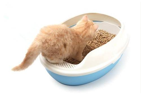 劣質(zhì)貓砂對貓的危害 便宜好用的貓砂推薦 劣質(zhì)貓砂對貓的危害 便宜好用的貓砂推薦